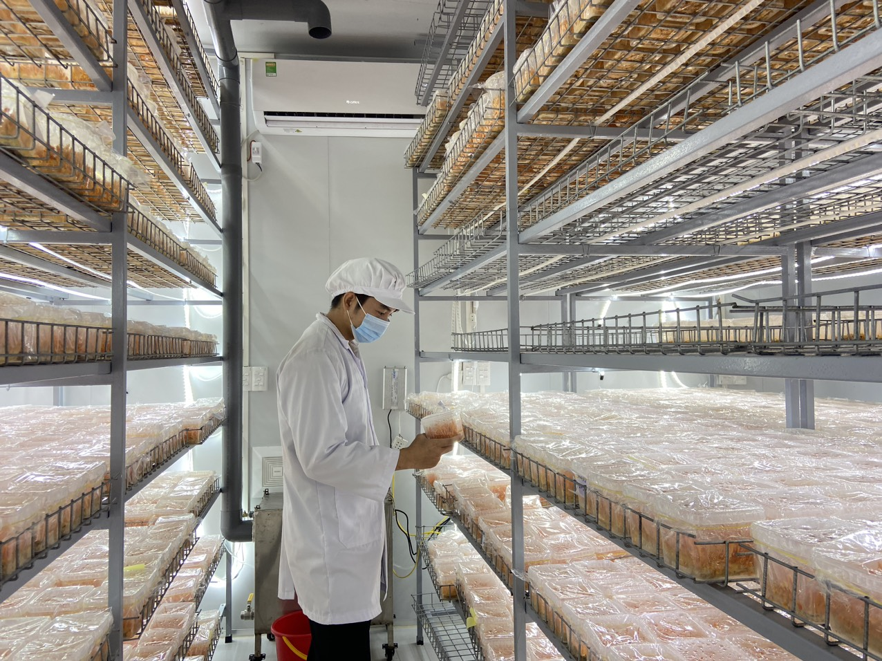Nghiên cứu nuôi trồng khoa học