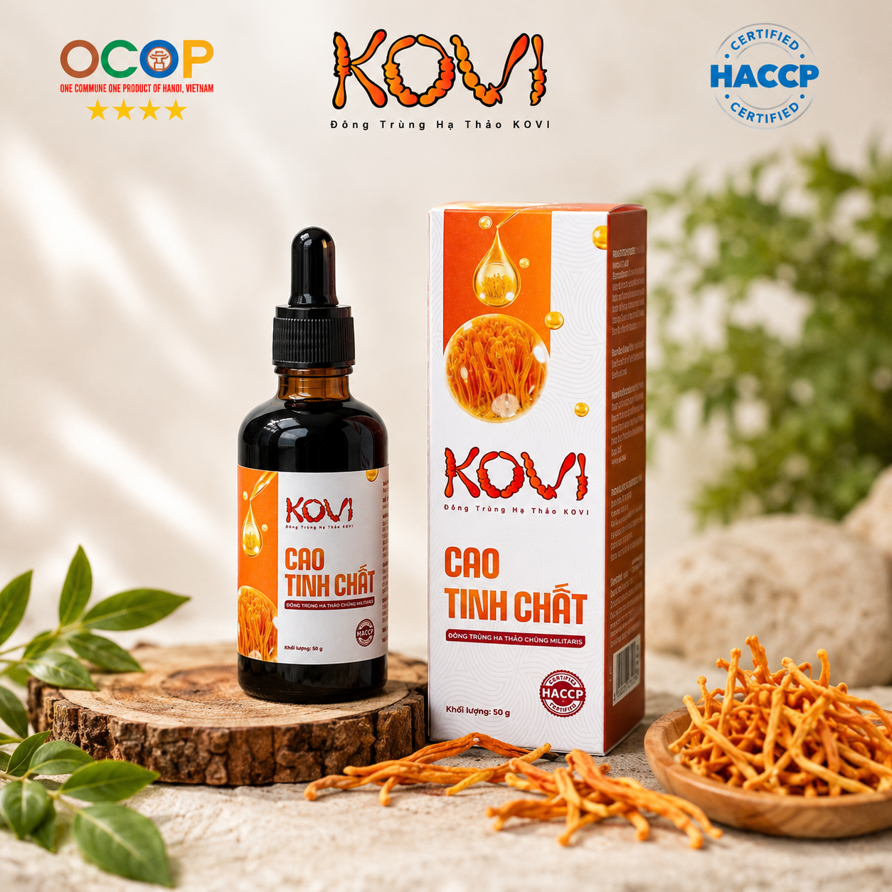 Cao tinh chất đông trùng hạ thảo KOVI