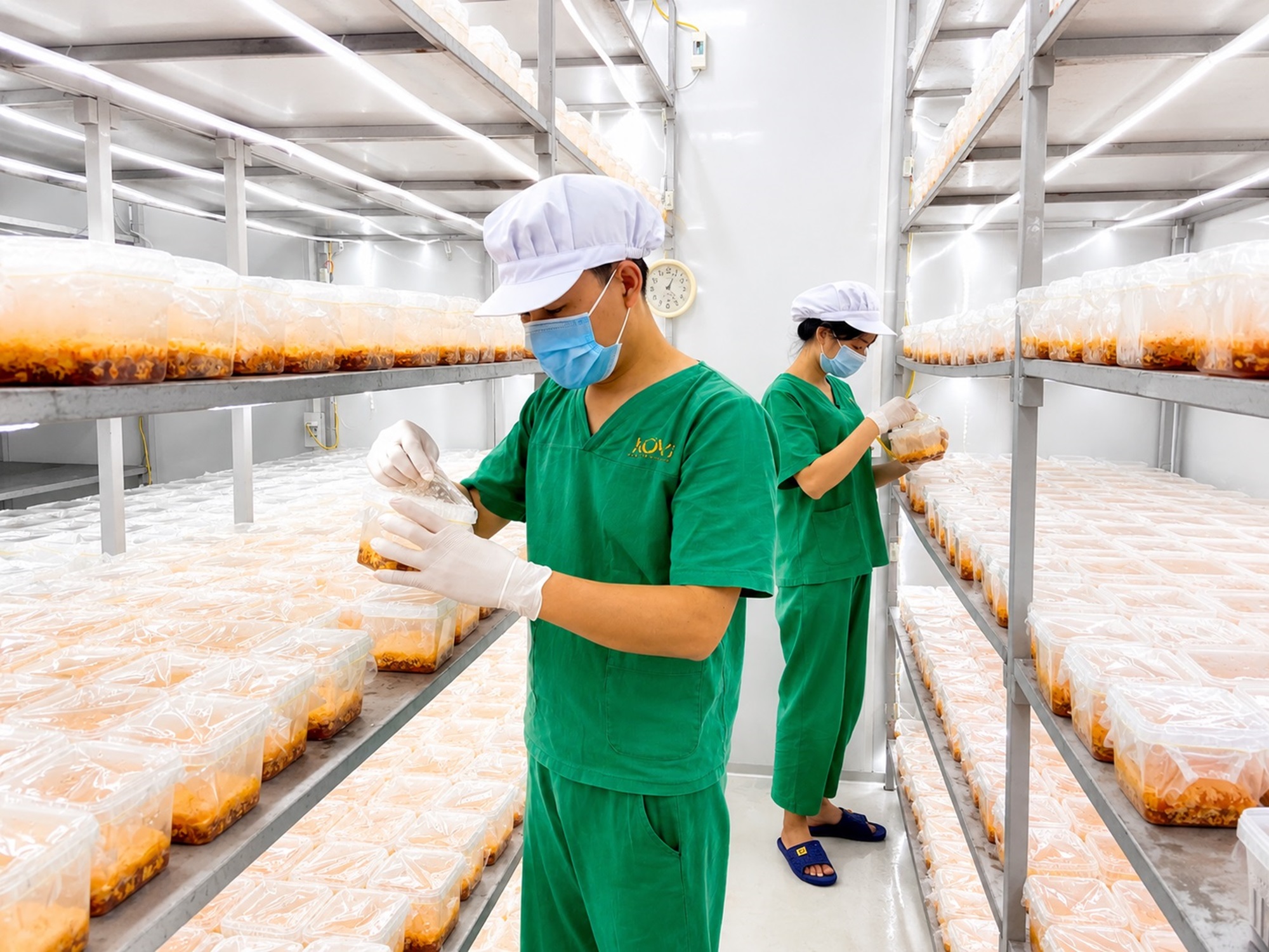 Phòng nghiên cứu và nuôi trồng KOVI